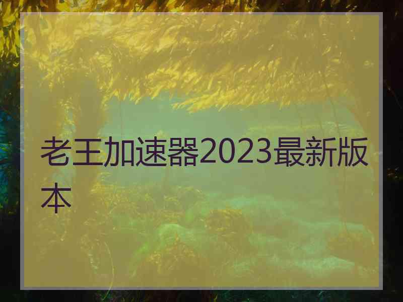 老王加速器2023最新版本