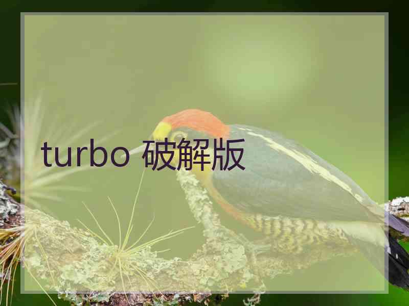 turbo 破解版