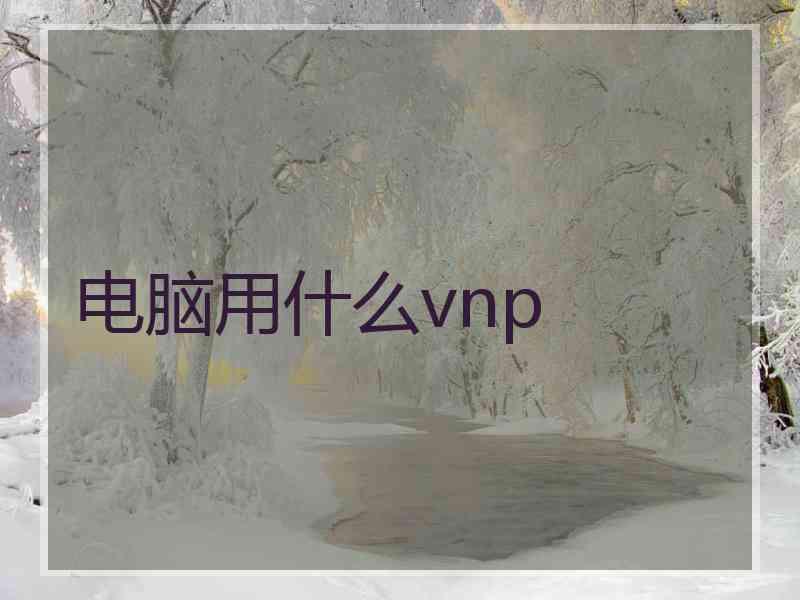 电脑用什么vnp