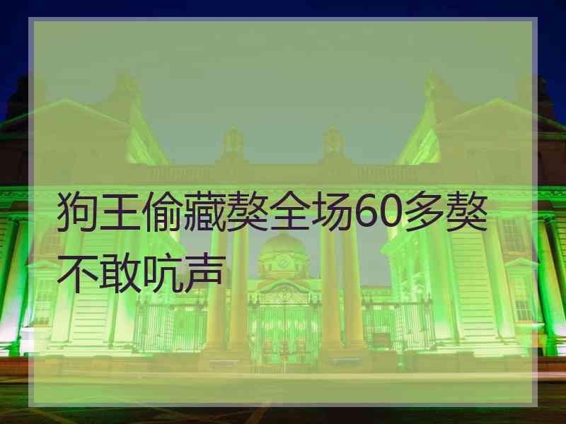 狗王偷藏獒全场60多獒不敢吭声