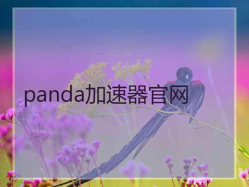 panda加速器官网