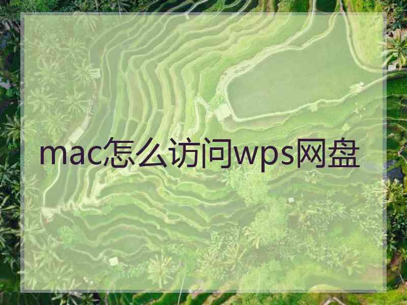 mac怎么访问wps网盘