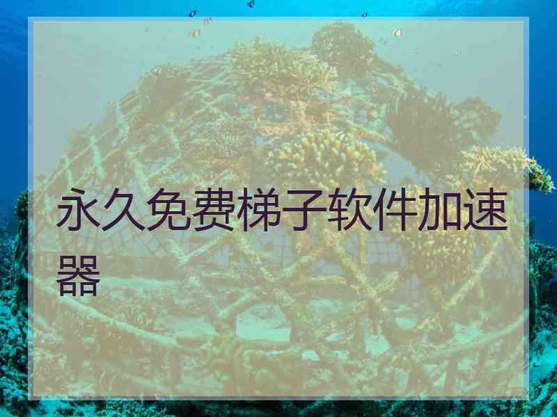 永久免费梯子软件加速器