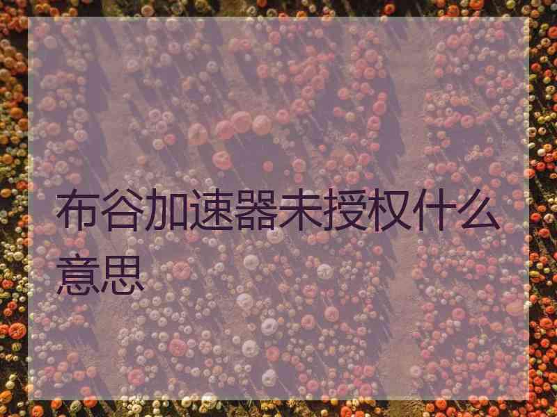 布谷加速器未授权什么意思