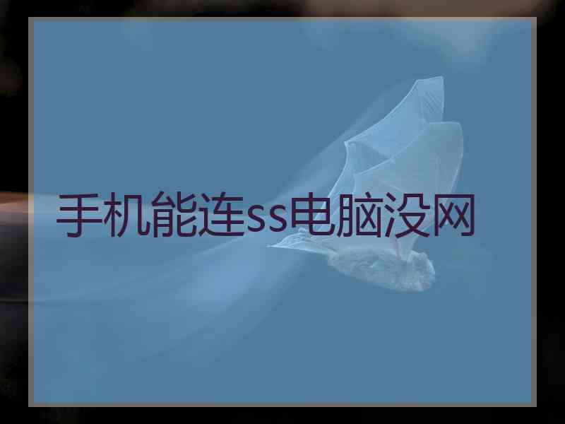 手机能连ss电脑没网