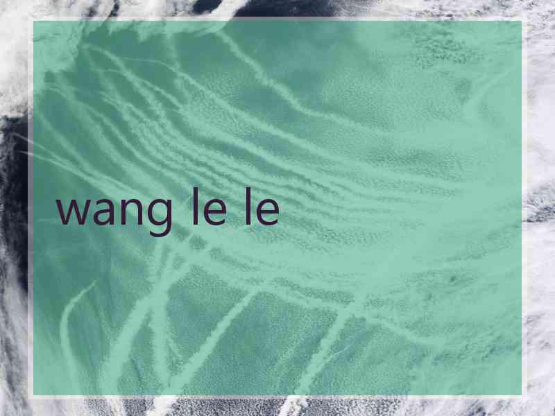 wang le le