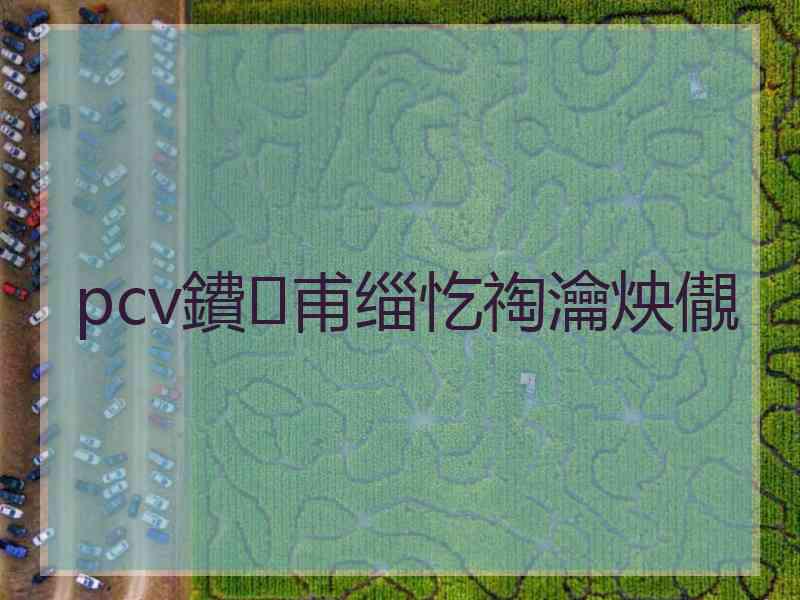 pcv鐨甫缁忔祹瀹炴儬