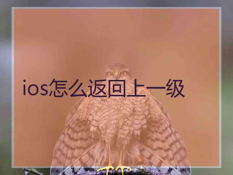 ios怎么返回上一级