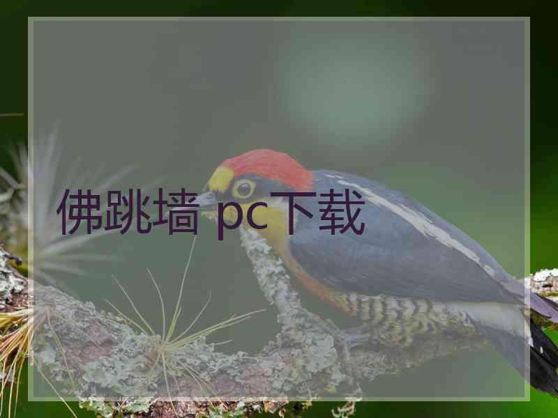 佛跳墙 pc下载