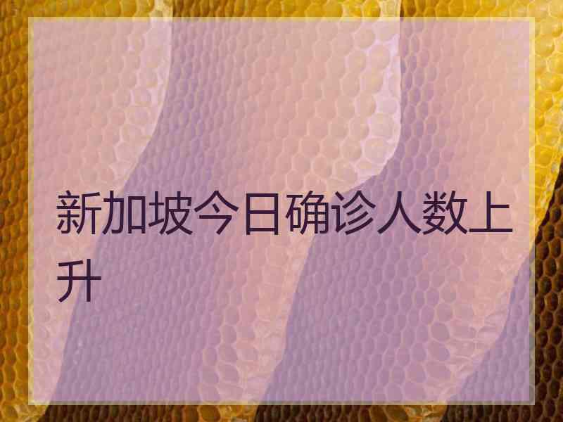 新加坡今日确诊人数上升