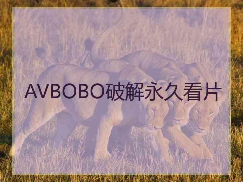 AVBOBO破解永久看片