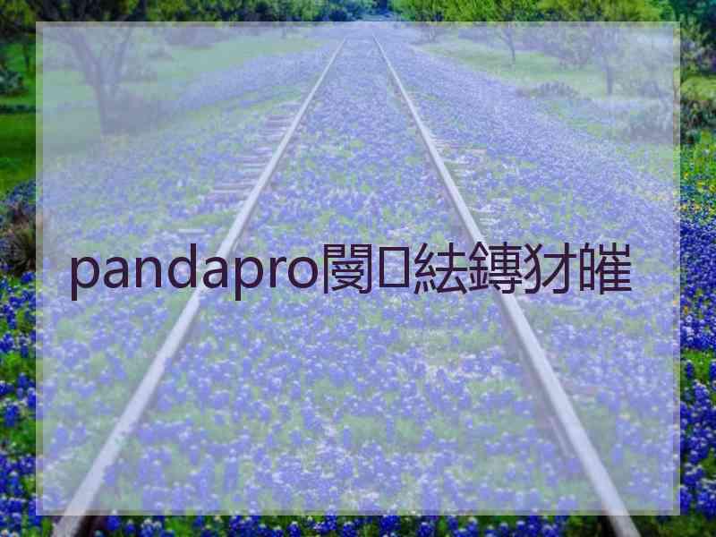 pandapro閿紶鏄犲皠