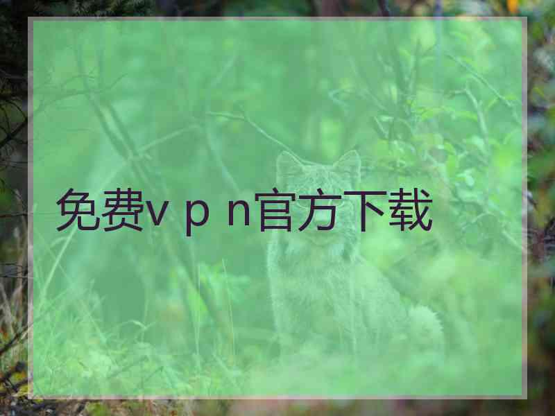 免费v p n官方下载