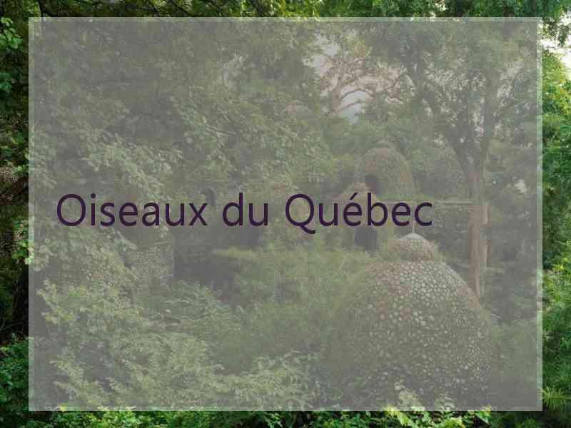 Oiseaux du Québec