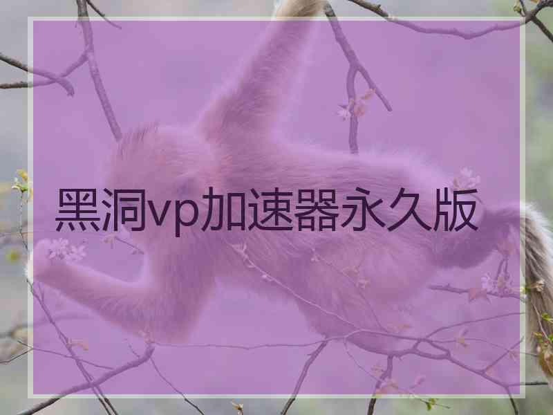 黑洞vp加速器永久版