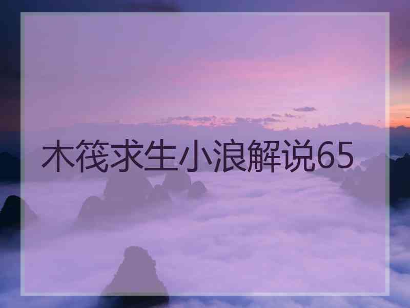 木筏求生小浪解说65