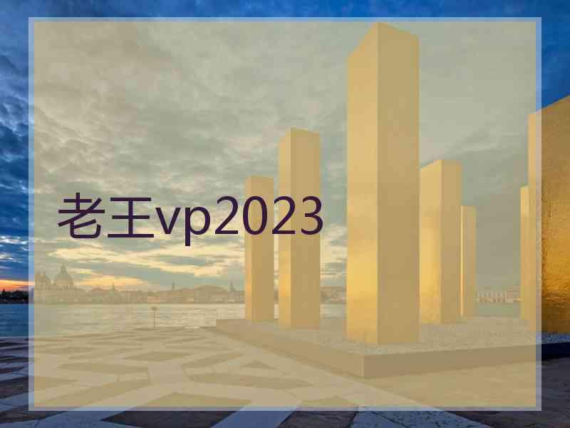 老王vp2023