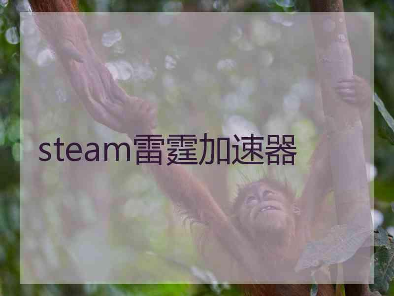 steam雷霆加速器