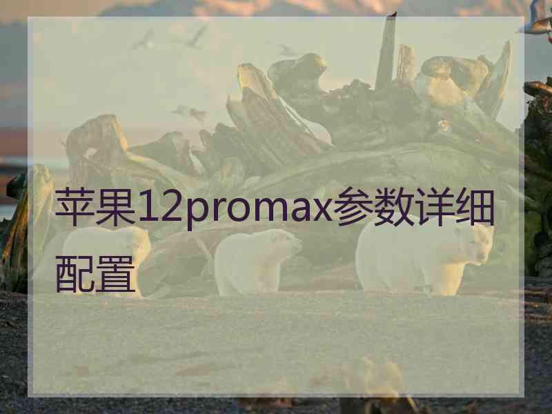 苹果12promax参数详细配置