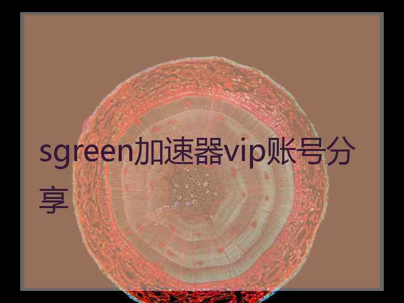 sgreen加速器vip账号分享