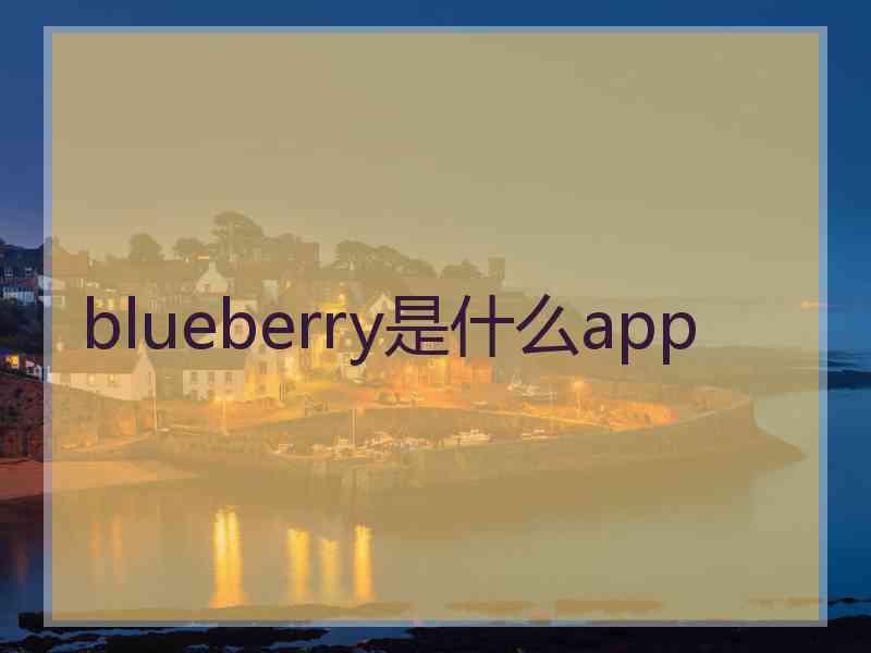 blueberry是什么app