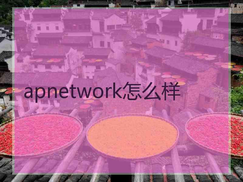 apnetwork怎么样