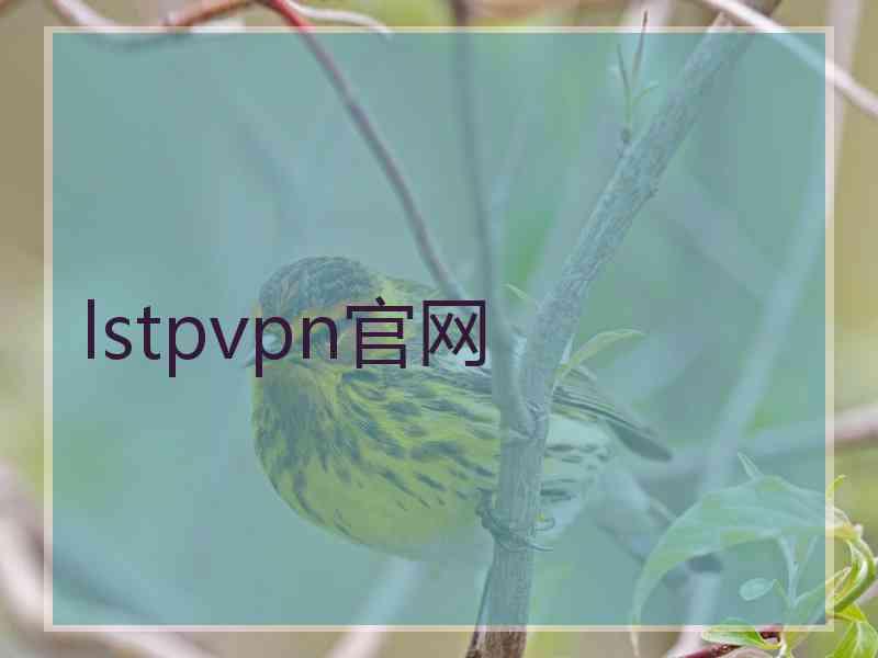 lstpvpn官网