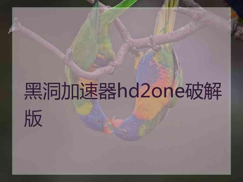 黑洞加速器hd2one破解版