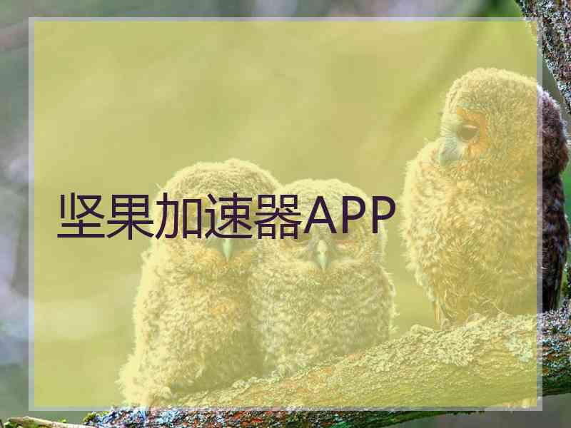 坚果加速器APP