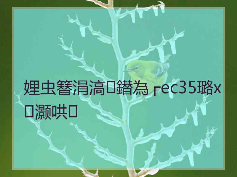 娌虫簮涓滈鐟為┌ec35璐х灏哄