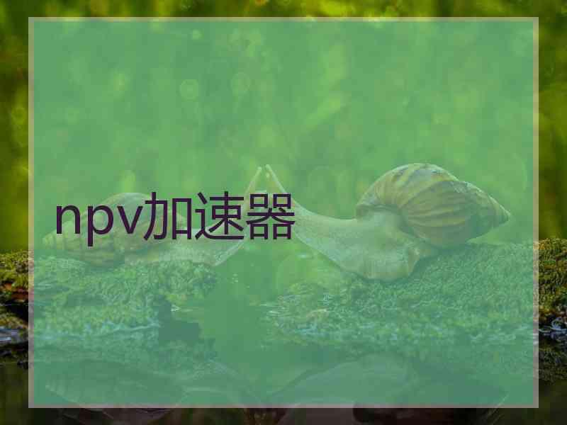 npv加速器