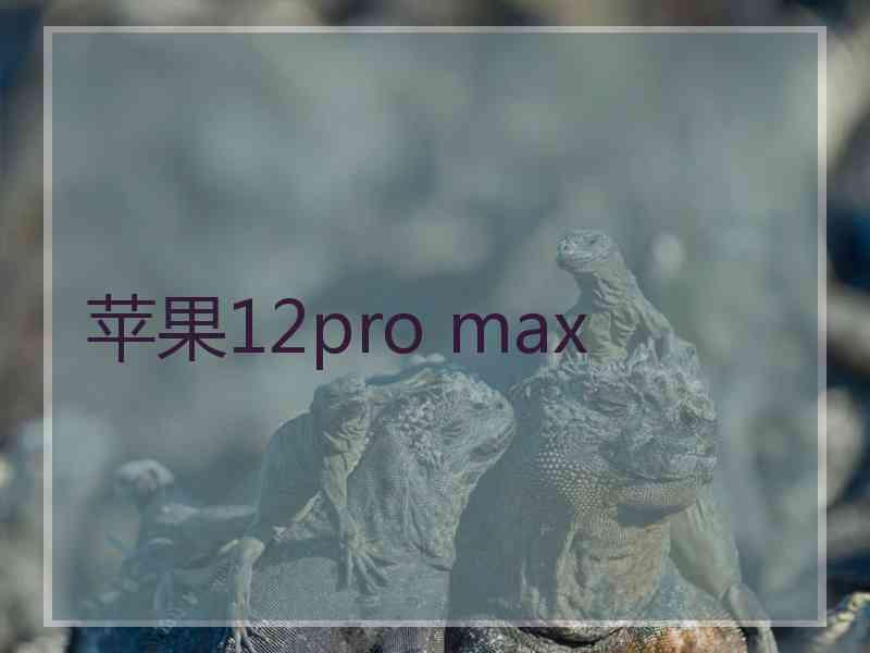 苹果12pro max