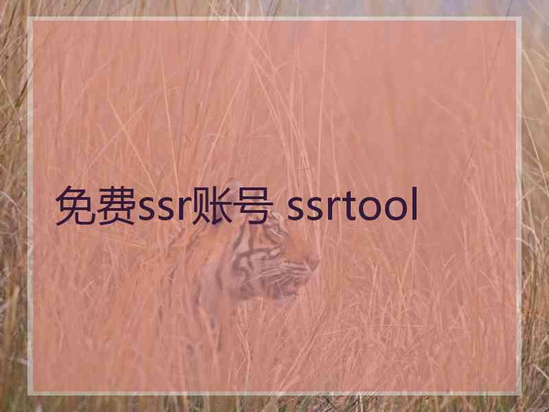 免费ssr账号 ssrtool