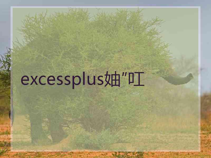 excessplus妯″叿