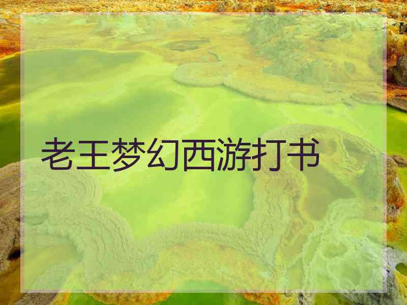 老王梦幻西游打书