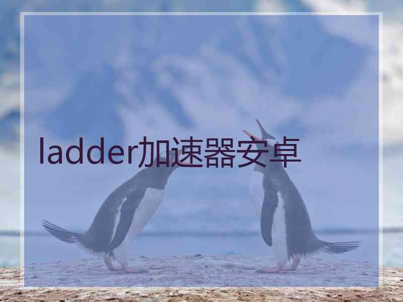 ladder加速器安卓