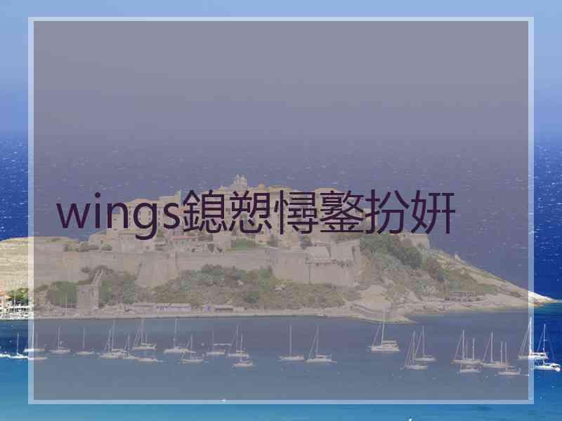 wings鎴愬憳鐜扮姸