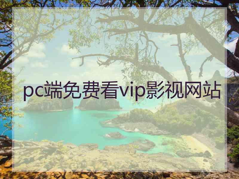 pc端免费看vip影视网站