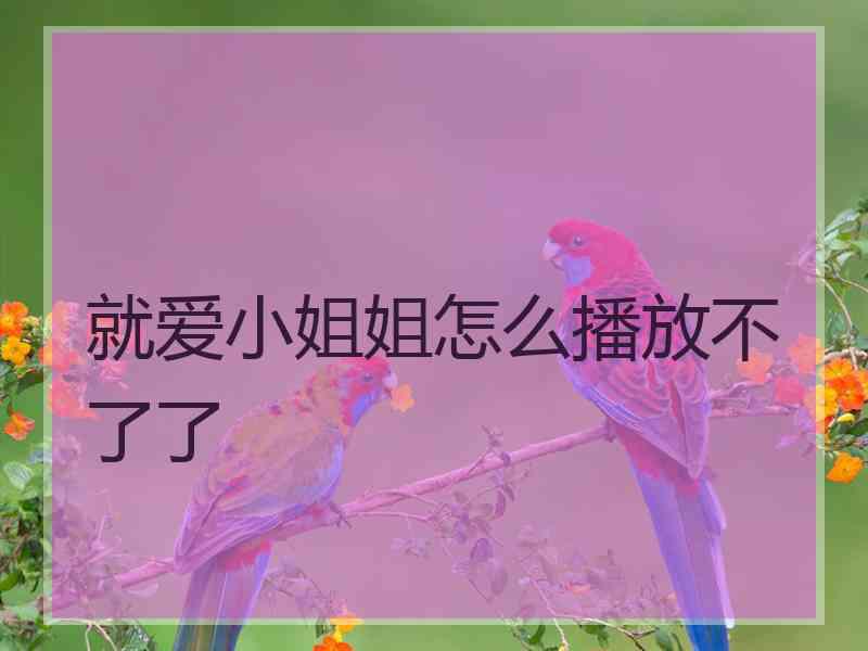 就爱小姐姐怎么播放不了了