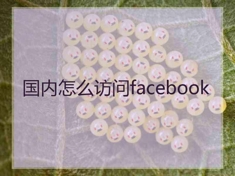 国内怎么访问facebook