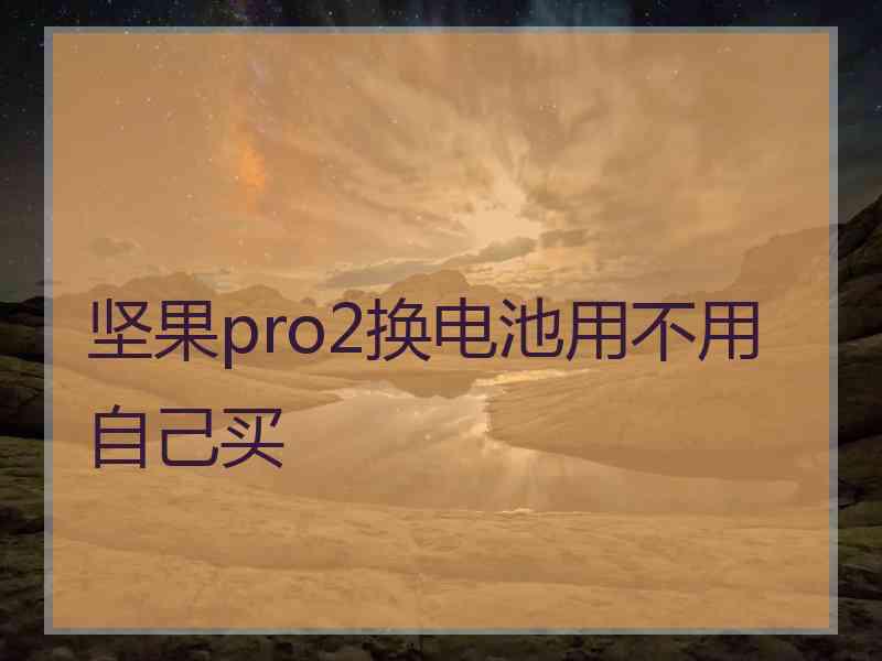 坚果pro2换电池用不用自己买