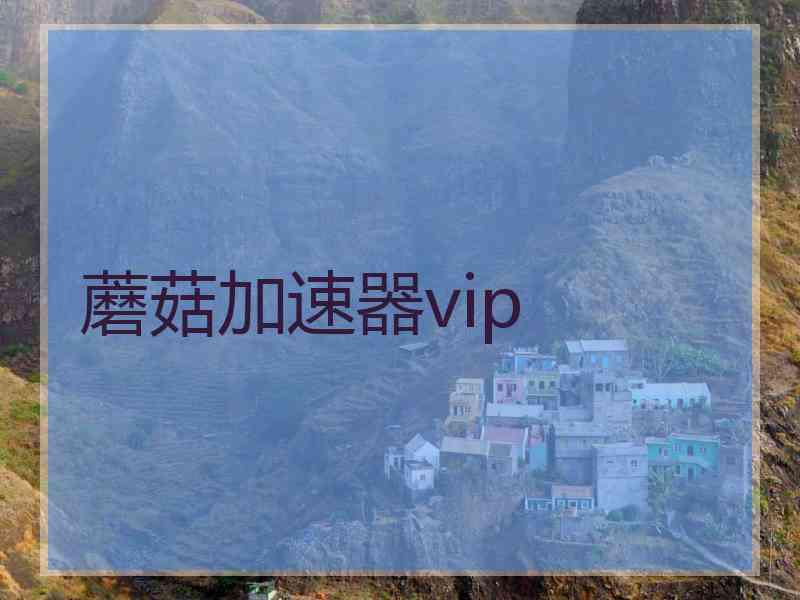 蘑菇加速器vip