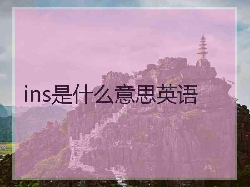 ins是什么意思英语