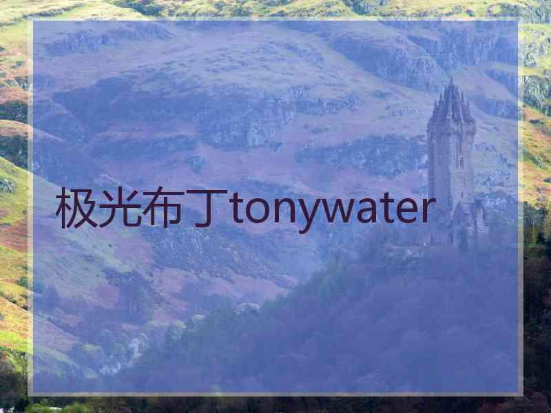 极光布丁tonywater