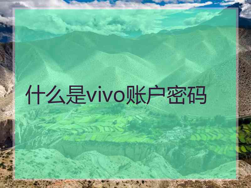 什么是vivo账户密码