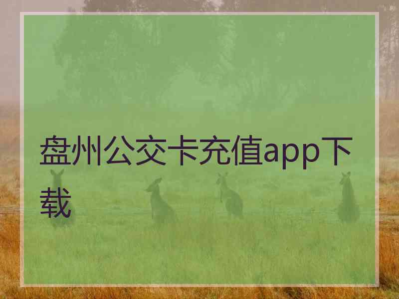 盘州公交卡充值app下载