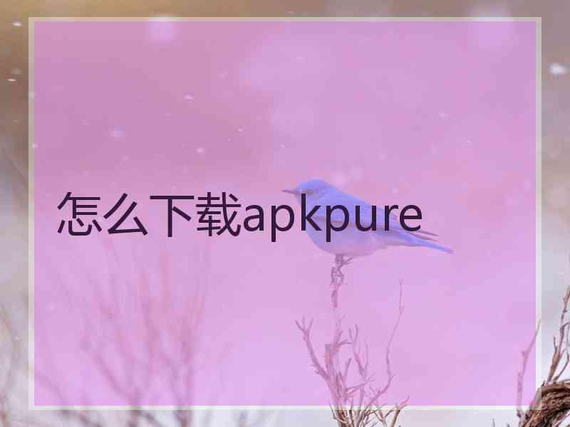 怎么下载apkpure