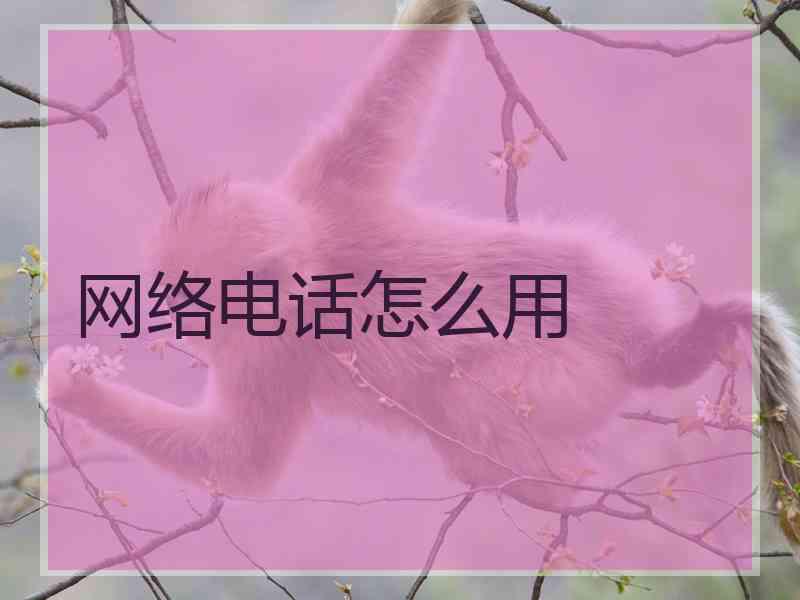 网络电话怎么用