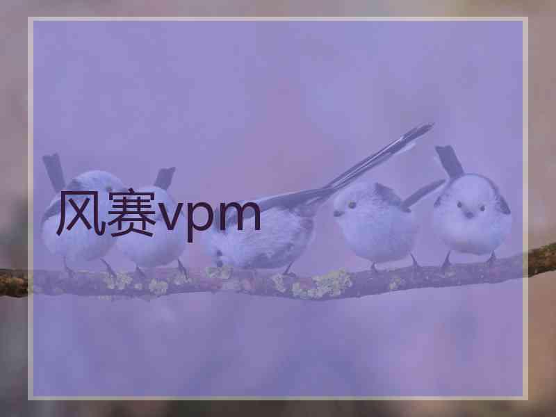 风赛vpm