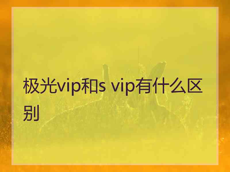 极光vip和s vip有什么区别